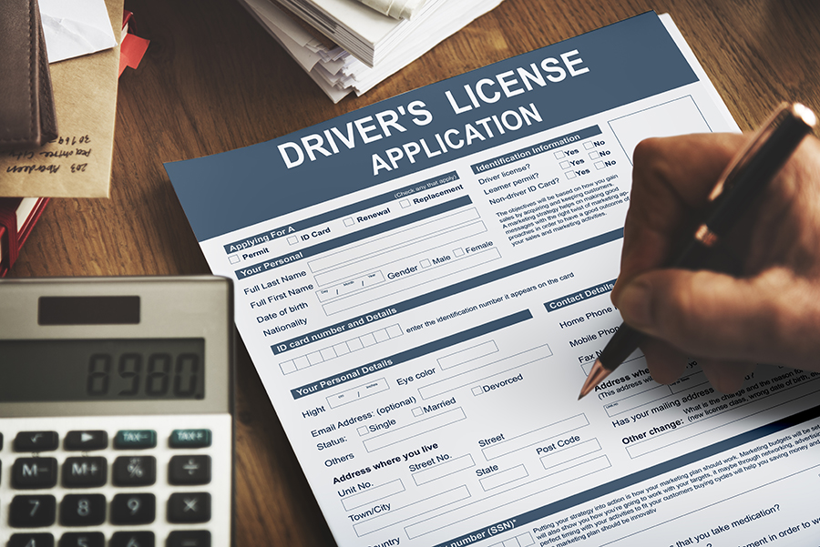 Buy Driver's License